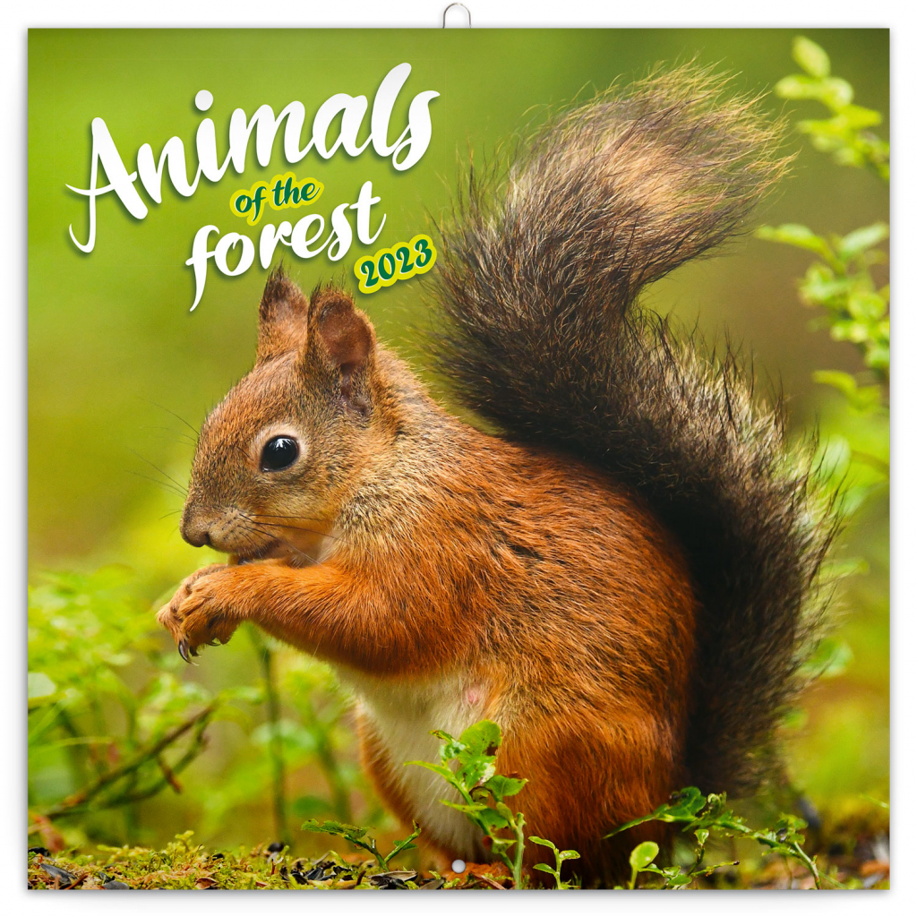 Poznámkový kalendář Zvířátka z lesa 2023, 30 × 30 cm